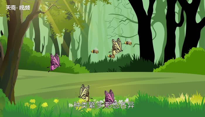 昆虫的种类 昆虫有哪些