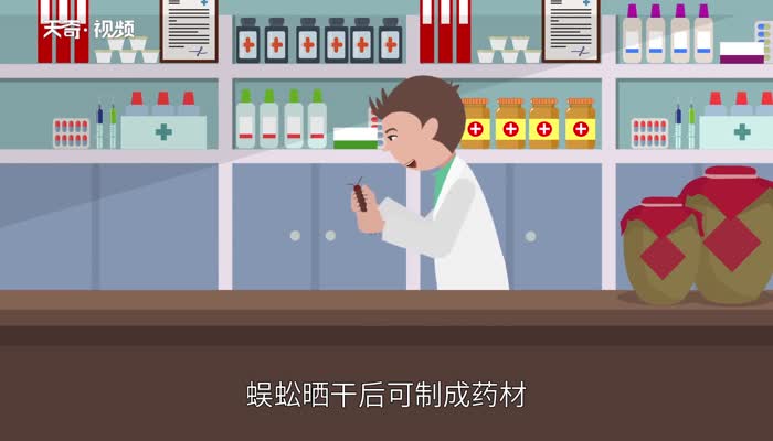 蜈蚣吃什么 蜈蚣吃什么东西
