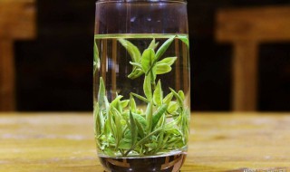 识别绿茶的最佳方法 识别绿茶的最佳方法是什么