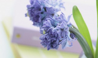 个性名言短句（个性名言短句正能量）