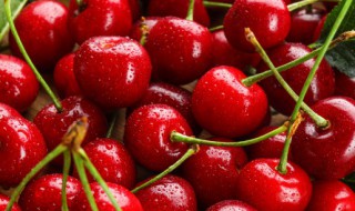 樱桃的养殖方法（樱桃的养殖方法盆栽种子）