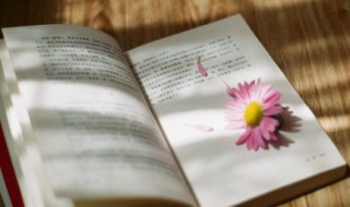 一句话领悟人生 一句话领悟人生的句子