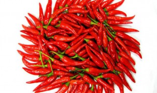 湿红辣椒的收藏方法 湿红辣椒怎么保存