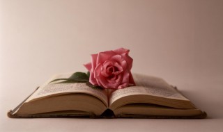 霸气人生语录写给自己（霸气人生语录写给自己8个字）