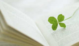 经典有哲理的人生语录（人生语录 经典 哲理）