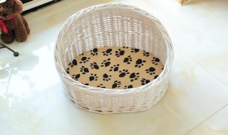 做狗窝的编织方法 做狗窝的编织方法视频