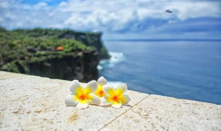 豁达人生语录经典句子 豁达人生语录经典句子图片