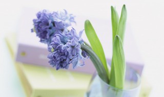 情感哲理人生语录（情感哲理人生语录摘抄）