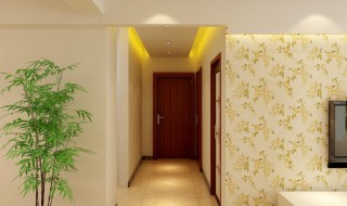 家里进门摆什么风水好 家里一进门摆放什么风水好