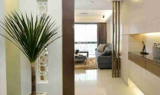 刚进门放什么风水比较好（刚进门放什么风水比较好吉利）