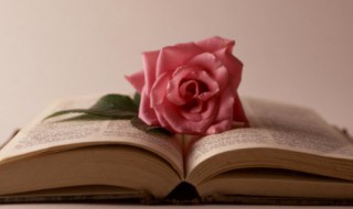 工作励志名言短句 工作励志名言短句激励房地产