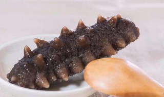 吃海参的功效与作用是哪些 吃海参的功效和作用