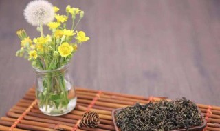 蒲公英茶有什么功效 蒲公英茶有什么功效可以搭配什么吃