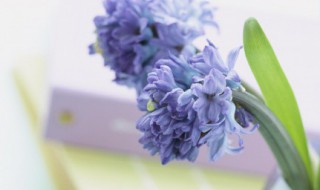 一句正能量的话唯美 正能量的句子 唯美