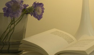 一句正能量的话能感染一天（每天发一条正能量的话）