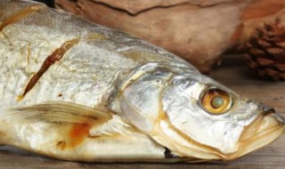 白鱼膘的功效与作用（白鱼膘的功效与作用是什么）