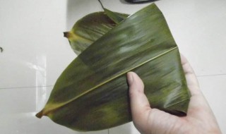 打开的粽子叶怎么保存 粽子叶咋保存
