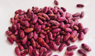 花芸豆的储存方法（花芸豆的储存方法视频）