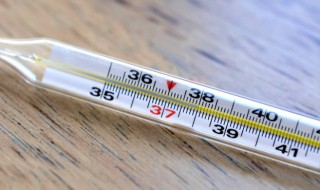 什么东西越热爬得越高 什么东西爬的越高越热