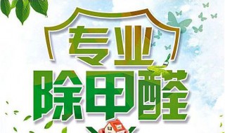 什么可以除甲醛又快又好（什么可以除甲醛又快又好呢）