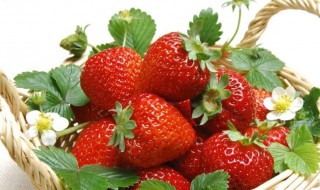 每天吃什么可以美白皮肤（经常吃什么可以美白皮肤）