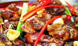 狗肉忌与什么同食