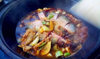 跟鱼相克的食物有哪些（与鱼相克的食物有哪些）