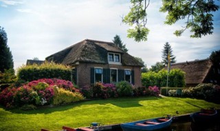 家里黄蜂窝预示什么风水（家里黄蜂窝预示什么风水好）