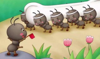 蚂蚁怎么去除 汽车里面有蚂蚁怎么去除