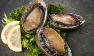 活鲍鱼的清洗及做法 活鲍鱼的清洗及做法大全