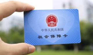 怎么查社保电脑号（在粤省事怎么查社保电脑号）