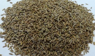 孜然怎么吃 孜然怎么吃比较好吃