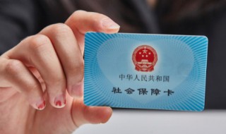 社保怎么查询个人账户（公司交社保怎么查询个人账户）