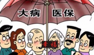 怎么办大病医保