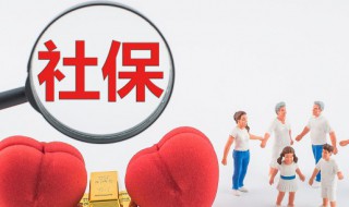 怎么补交医保 手机上怎么补交医保