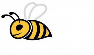 蜜蜂分家怎么处理 蜜蜂分家怎么处理好