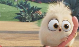 蚯蚓怎么吃（蚯蚓怎么吃最好）