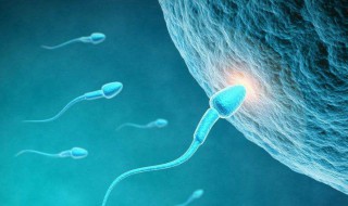 吃了精子会怎么样