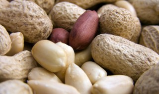 如何清洗花生 如何清洗花生米