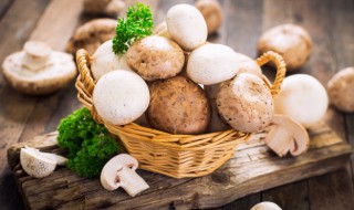 如何清洗蘑菇（如何清洗蘑菇中的沙子）