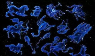 十二星座的守护花（十二星座的守护花仙精灵王是谁）