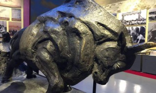 深圳特区拓荒牛是谁（深圳的拓荒牛来历）