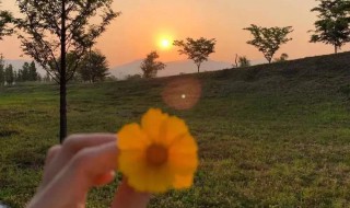 朋友圈三观正的说说（三观很正的朋友圈说说）