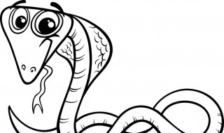 被毒蛇咬了怎么办 一旦发现被毒蛇咬了怎么办