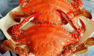 吃梭子蟹的禁忌（吃梭子蟹的禁忌和好处）