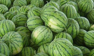 减肥不宜吃西瓜吗（西瓜减肥不能吃吗）