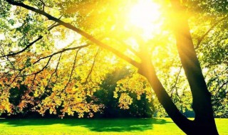 被太阳晒红了怎么办（被阳光晒了后发红怎么办）