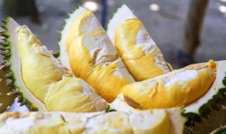 榴莲剥开没熟怎么办 榴莲剥开没熟好怎么办