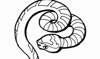 家里进蛇怎么办 家里进蛇怎么办 蛇怕什么