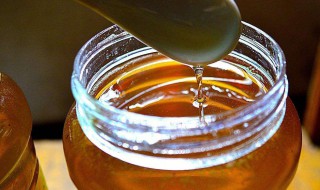 吃土蜂蜜的禁忌（吃土蜂蜜的禁忌及正确吃法）
